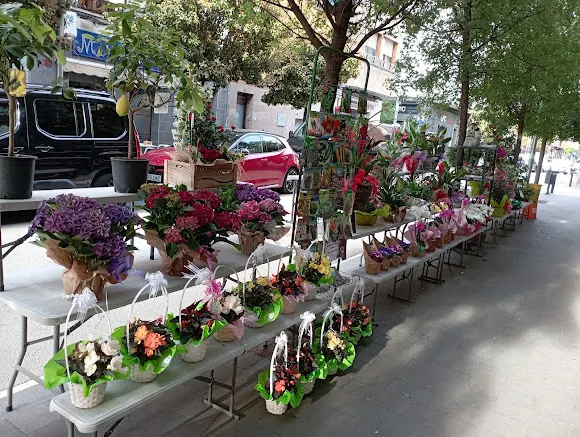Floristeria La Miranda (Cornellà de Llobregat)