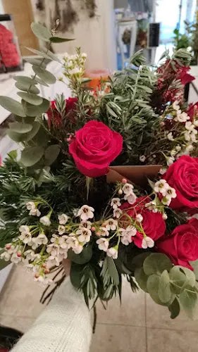 Tina plena de flors