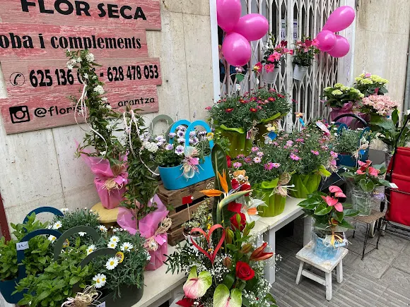 Floristería Arantza (Arte Floral Ropa y Complementos)