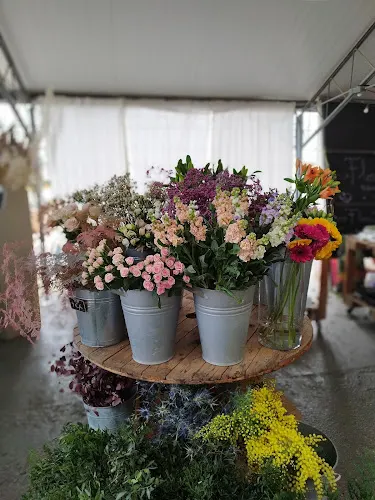 El Món de les Flors