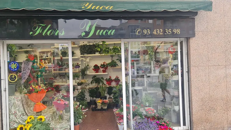 Flores Yuca