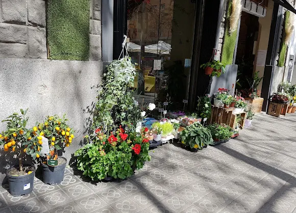 Ātmā Flors & Art