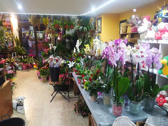 Taller Floral Cami de Roses