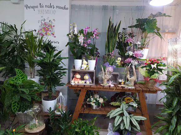 Floristería Cefe Moreno