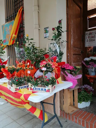 Floristeria Plaça Sant Ramon