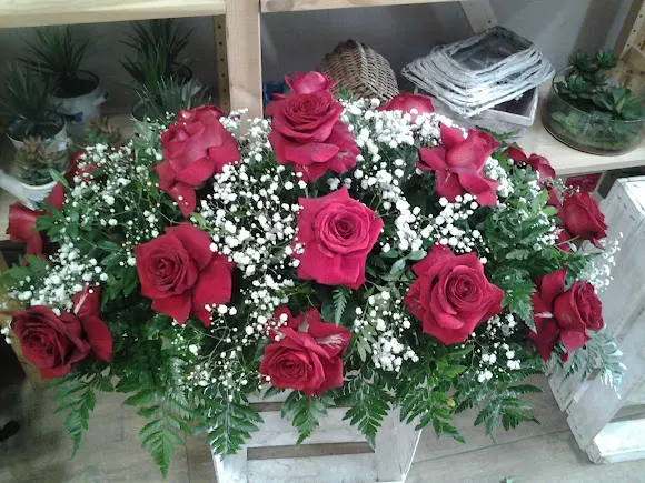 Temps de Flors