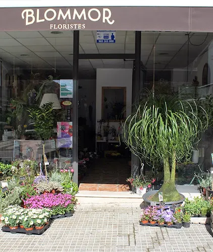 Blommor Floristes