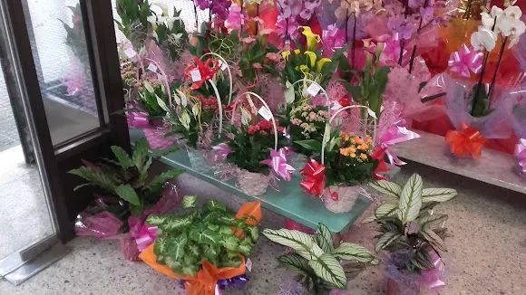 Floristeria Carmen