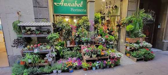 Anabel Floristeria
