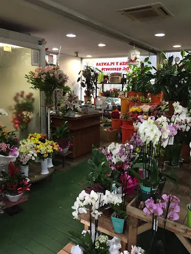 Sarrià Flors