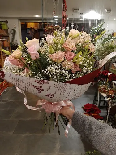 Floristes I Jardiners Rosa Bley S.L.