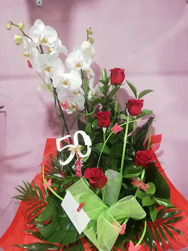 Flors Anthurium