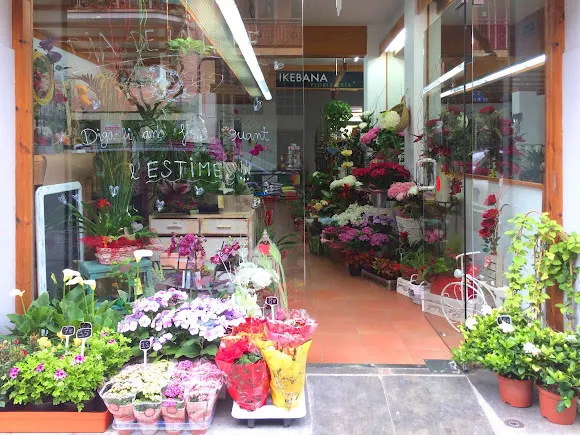 Floristeria Ikebana