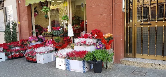 Floristeria Serrano des de 1971