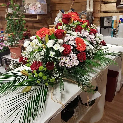 Arrels Floristeria