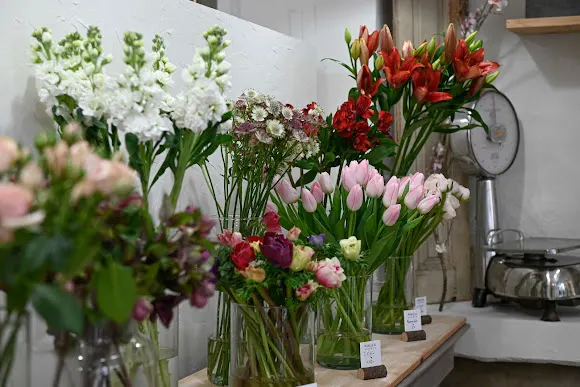NIKITA STUDIO FLORAL