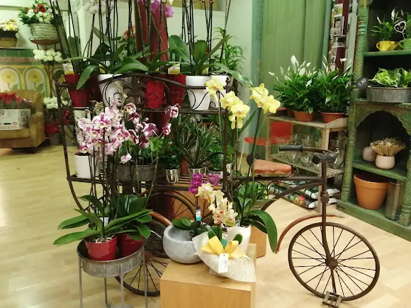 Anna Parera floristes - Cardedeu