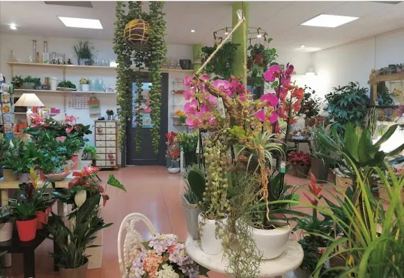Flors i Plantes ARA