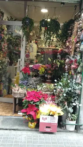Floristeria Agarimo Barcelona