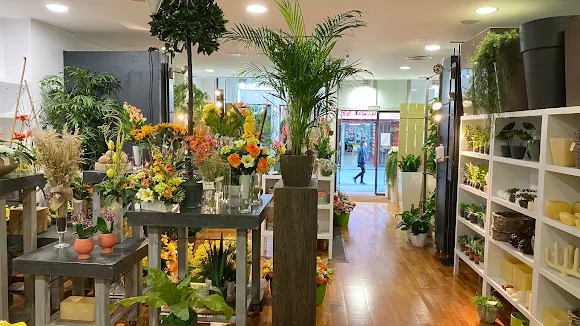 Floristeria Fontanillas