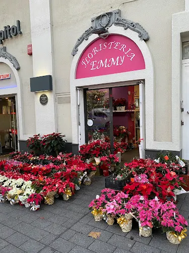 Floristeria Emmy - Floristería en Santa Coloma de Gramenet