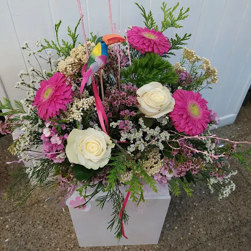 Floristeria Nani