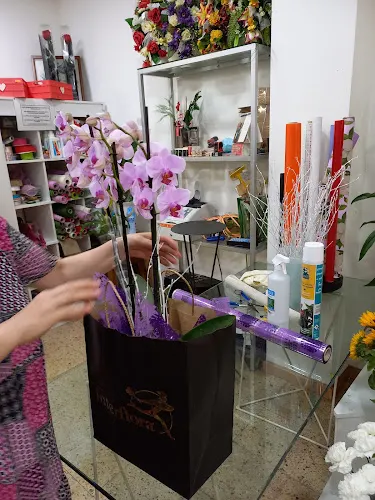 René Floristeria
