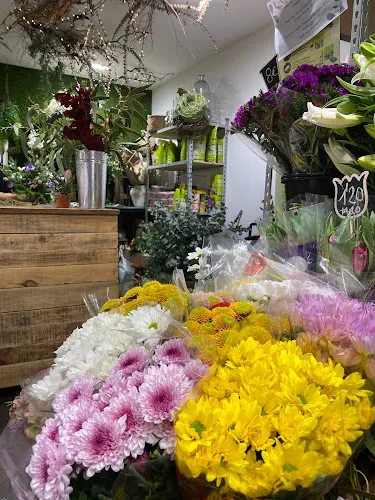 Flors Margarita