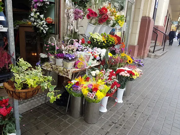 Floristeria CRISTHER