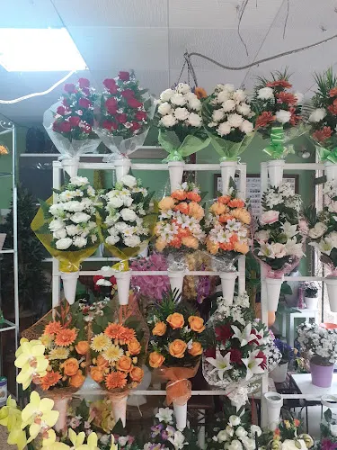 Floristeria Roser
