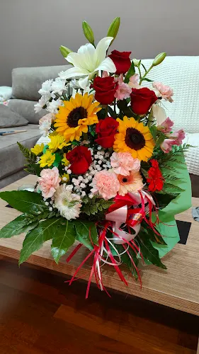 Floristeria Begonia