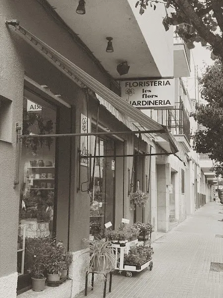 Floristeria Les Flors - Terrassa