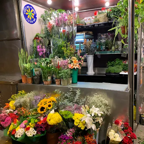 Flors Dolors