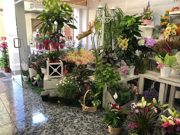 Floristería BlancaFlors