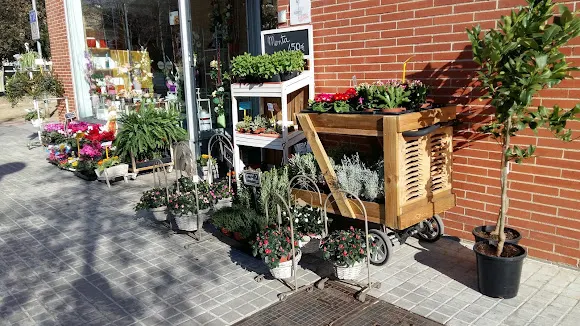 Floristeria Anines