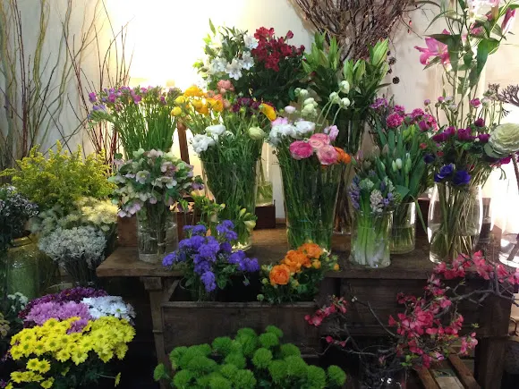 the boj flowers