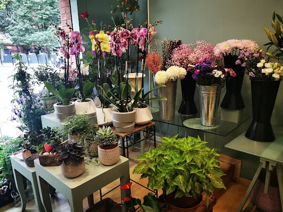 L' Amazònia Flors Floristeria