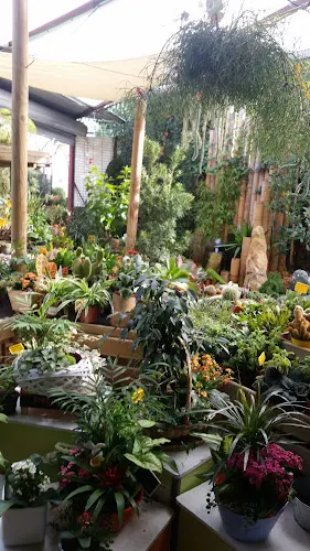 Floristeria Garden Navarro Puiggrós