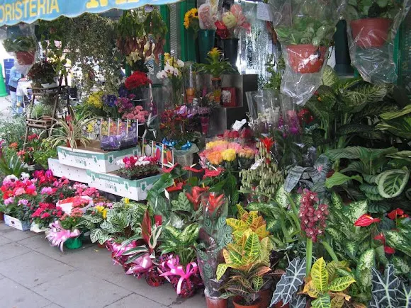 Floristeria Neus