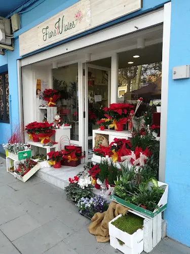 Flors i Violes. Flower shop