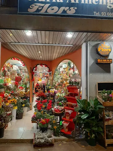 Flors Núria Armengol