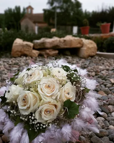Lorisa Floral - Olerdola