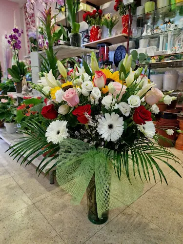 Floristeria Bogas