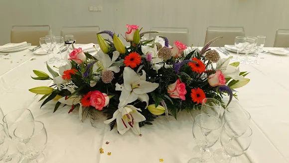 Doan Flores y Plantas