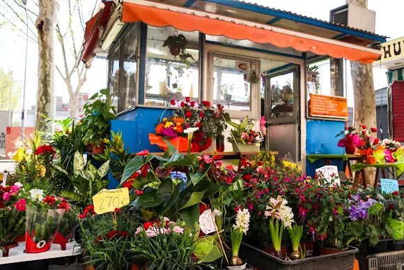 Floristeria Díaz