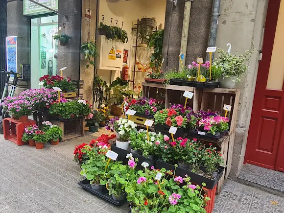 Floristeria Berta