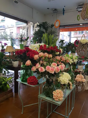El Jardinet