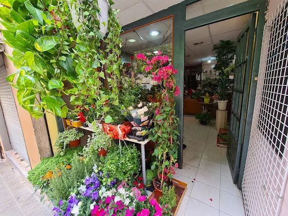 Floristeria Bienvenida