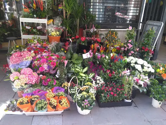 Floristería Neus