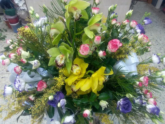 Flores Chelo